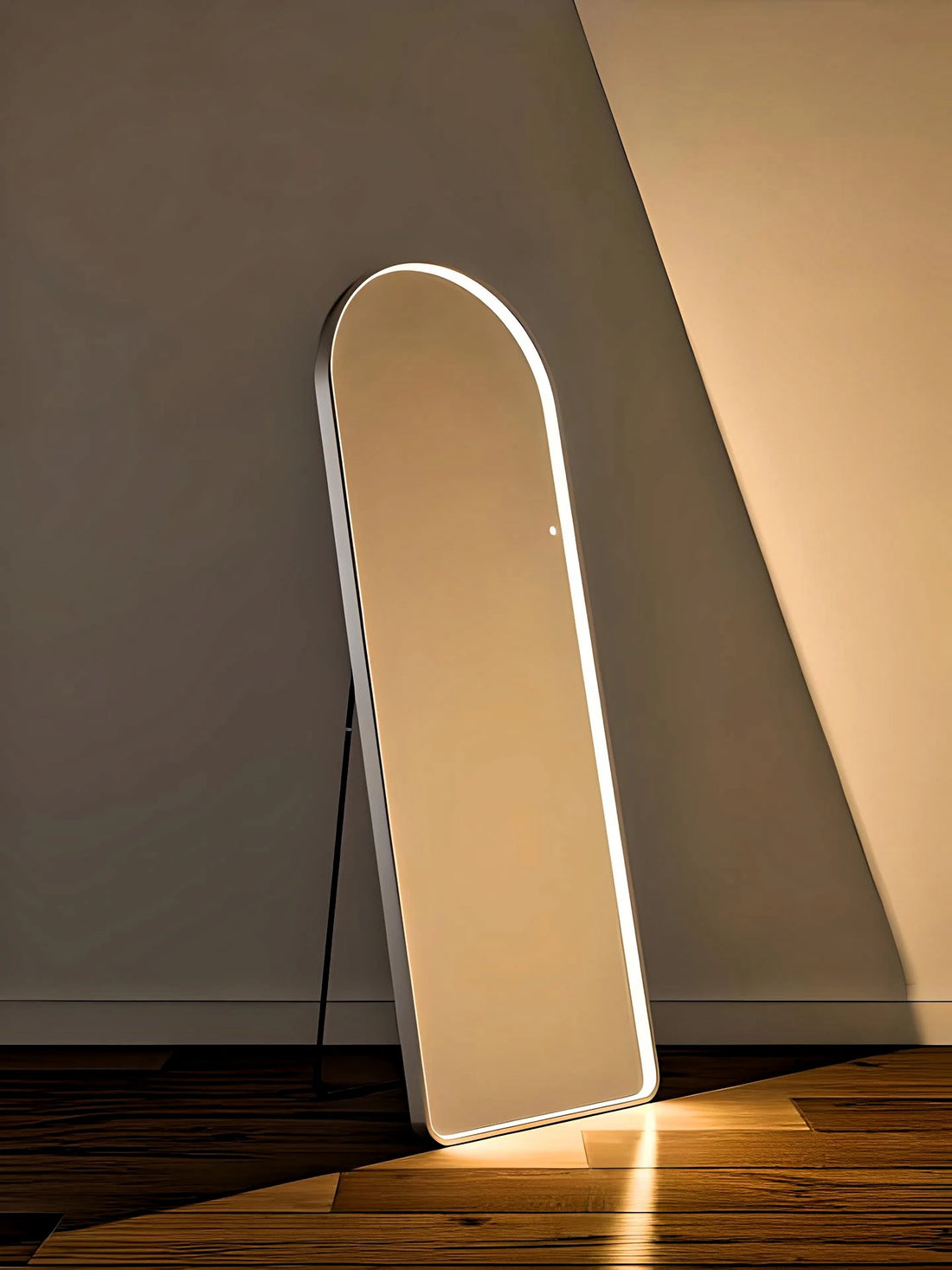 Standing Mirror with Inbuilt Light Frame